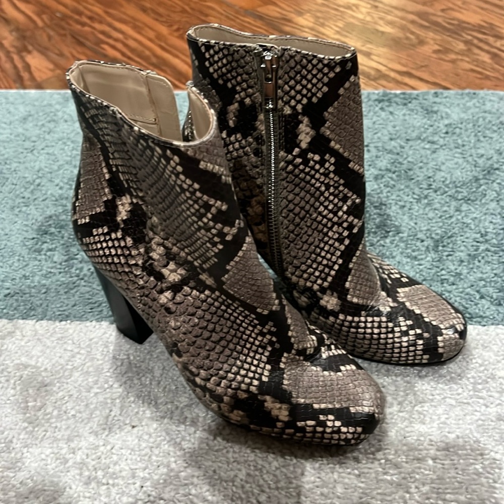 Steve Madden booties - snake print